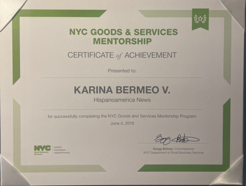 NYC Good & Services Mentorship Program